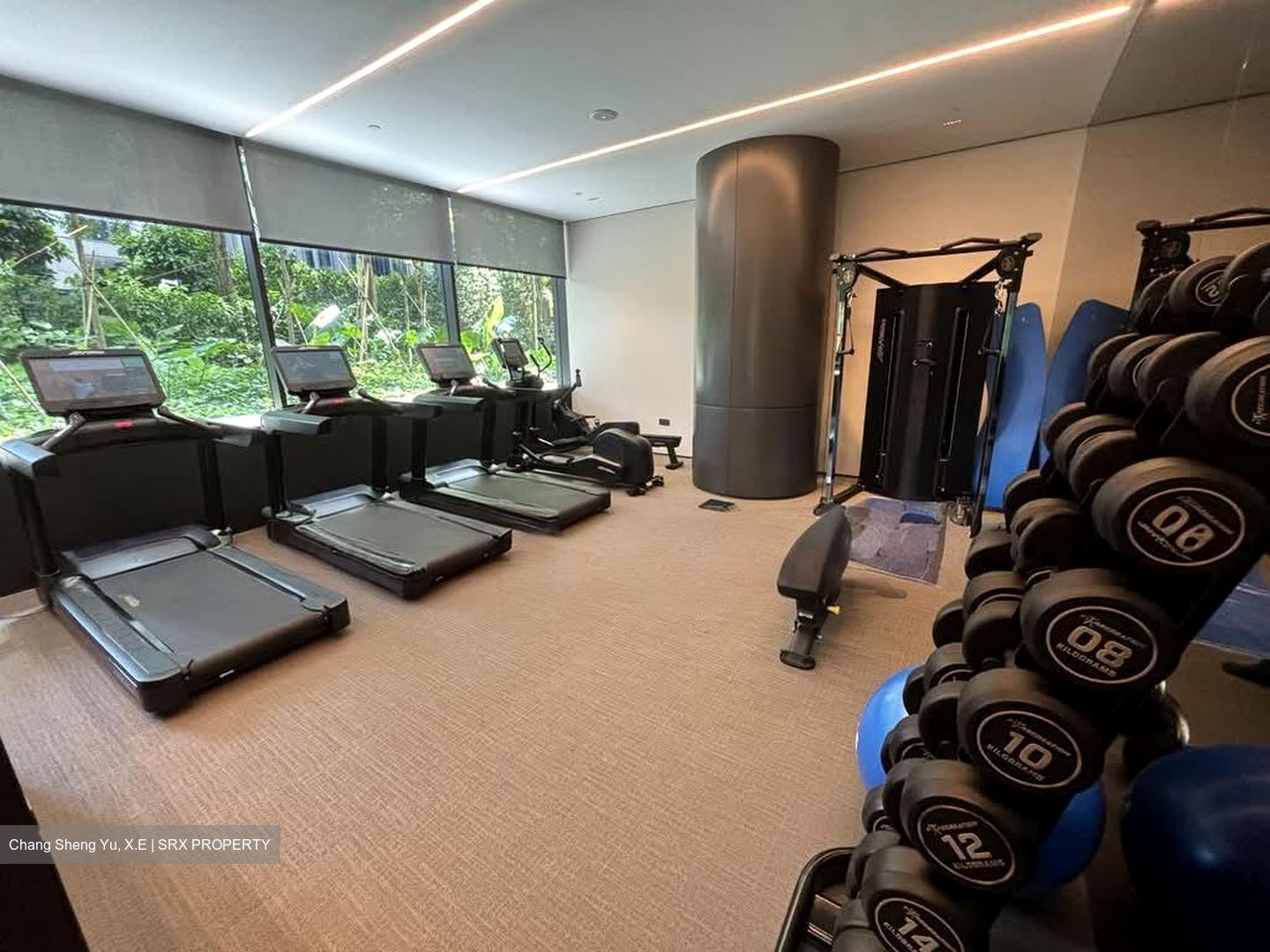 Cuscaden Reserve (D10), Condominium #560549631